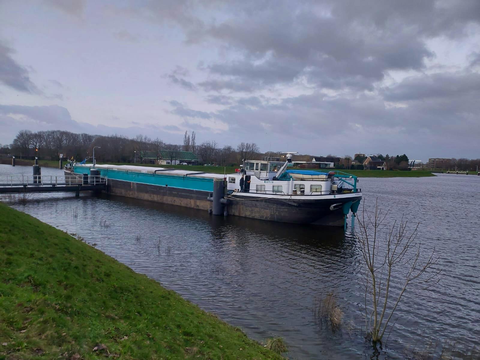 Marja (donau) — thumbnail 2